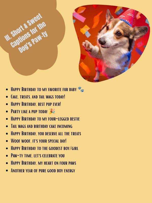 III. Short & Sweet Captions for the Dog's Paw-ty
